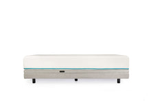 Load image into Gallery viewer, Sophia adjustable bed with lumbar support
