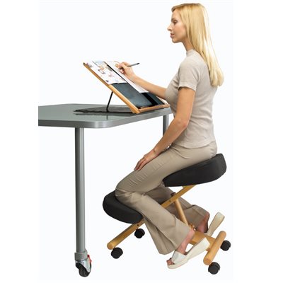 https://toutpourledos.com/cdn/shop/products/ergonomic-posture-chair-B_1024x1024@2x.jpg?v=1586366133